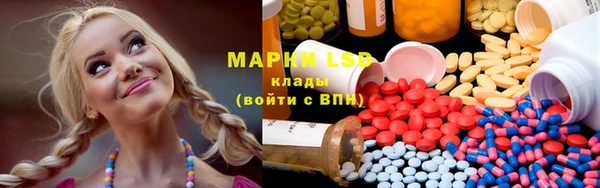 индика Абаза