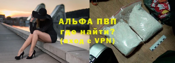 индика Абаза