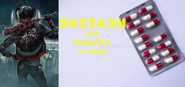 индика Абаза