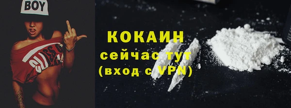 индика Абаза