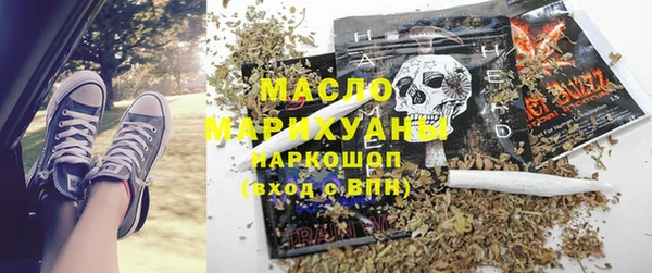 индика Абаза