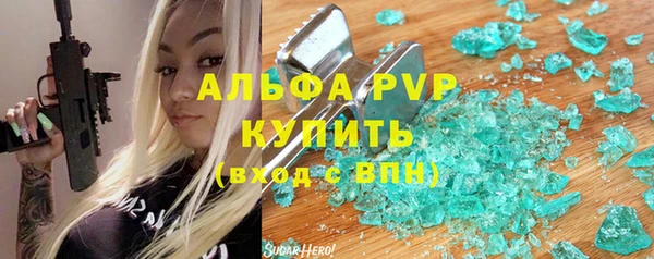 индика Абаза