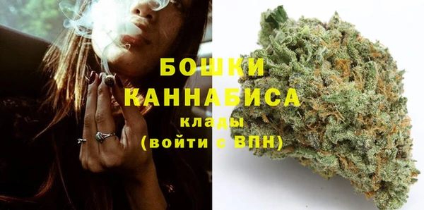 индика Абаза