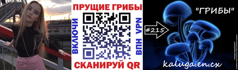 Псилоцибиновые грибы Psilocybe Ува