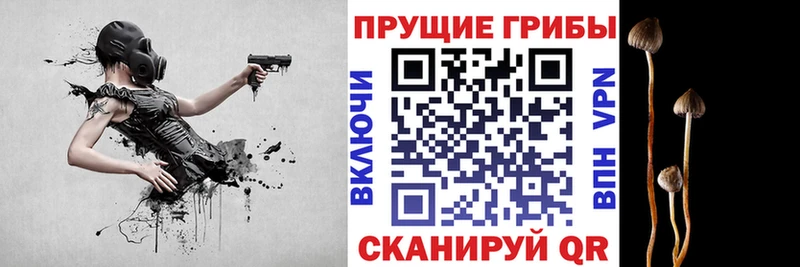 Псилоцибиновые грибы мухоморы  Ува 